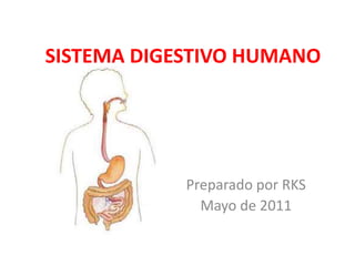 SISTEMA DIGESTIVO HUMANO
Preparado por RKS
Mayo de 2011
 