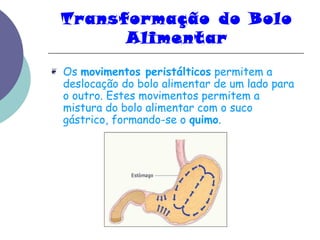 Transformação do Bolo 
Alimentar 
❦ Os movimentos peristálticos permitem a 
deslocação do bolo alimentar de um lado para 
o outro. Estes movimentos permitem a 
mistura do bolo alimentar com o suco 
gástrico, formando-se o quimo. 
 