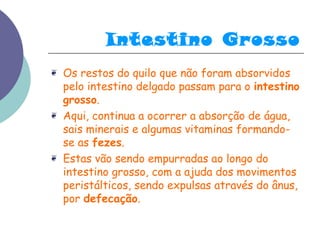 Intestino Grosso 
❦ Os restos do quilo que não foram absorvidos 
pelo intestino delgado passam para o intestino 
grosso. 
❦ Aqui, continua a ocorrer a absorção de água, 
sais minerais e algumas vitaminas formando-se 
as fezes. 
❦ Estas vão sendo empurradas ao longo do 
intestino grosso, com a ajuda dos movimentos 
peristálticos, sendo expulsas através do ânus, 
por defecação. 
 
