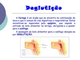 Deglutição 
A faringe é um órgão que se encontra na continuação da 
boca e que é comum às vias digestivas e respiratórias. Estas 
encontram-se separadas pela epíglote, que impede a 
entrada do bolo alimentar na laringe, obrigando-o a passar 
para o esófago. 
A passagem do bolo alimentar para o esófago designa-se 
por DEGLUTIÇÃO. 
 