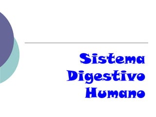 Sistema
Digestivo
  Humano
 