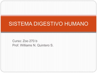 Curso: Zoo 270 b
Prof. Williams N. Quintero S.
SISTEMA DIGESTIVO HUMANO
 