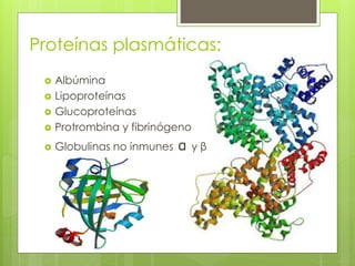 Proteínas plasmáticas:
 Albúmina
 Lipoproteínas
 Glucoproteínas
 Protrombina y fibrinógeno
 Globulinas no inmunes α y β
 
