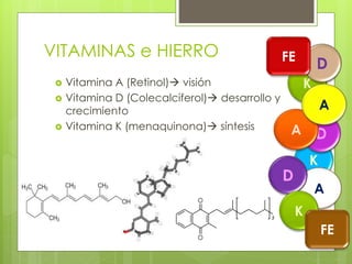 VITAMINAS e HIERRO
 Vitamina A (Retinol) visión
 Vitamina D (Colecalciferol) desarrollo y
crecimiento
 Vitamina K (menaquinona) síntesis
K
DA
A
D
K
K
D
A
FE
FE
 