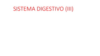 SISTEMA DIGESTIVO (III)
 