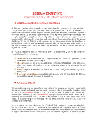 SISTEMA DIGESTIVO I
Cavidad Bucal y Estructuras Asociadas
GENERALIDADES DEL SISTEMA DIGESTIVO
El sistema digestivo está formado por el tubo digestivo que se compone de boca,
faringe, esófago, estómago, intestinos delgado y grueso, recto y ano; y también por
estructuras asociadas como lengua, dientes, glándulas salivales, páncreas, hígado y
vesículas biliares.Los diversos segmentos del tubo digestivo están especializados para
cumplir aspectos específicos de la digestión y absorción. En la boca ocurre la
humectación y formación preliminar del bolo alimenticio, luego los alimentos pasan
rápidamente por la faringe y el esófago, en el estómago ocurre la digestión, la
absorción se produce en la pared del intestino delgado. Los alimentos no digeridos, se
eliminan como materia fecal, al igual que el moco, bacterias, células exfoliadas y
pigmentos biliares.
La mucosa digestiva siendo intermedia entre el organismo y el medio ambiente
cumple las siguientes funciones:
Secreción:revestimiento del tubo digestivo secreta enzimas digestivas, ácido
clorhídrico, mucina y anticuerpos.
Absorción:epitelio de la mucosa absorbe sustratos metabólicos como alimentos,
vitaminas, agua, electrolitos y otras sustancias para el funcionamiento del
organismo.
Barrera: impide la entrada de sustancias nocivas, antígenos y microorganismos
patógenos.
Protección inmunológica:la mucosa actúa como una primera línea de defensa
inmunológica para proteger al organismo.
CAVIDAD BUCAL
Comprende una serie de estructuras que incluyen la lengua, los dientes y sus medios
de sostén, las glándulas salivales mayores y menores y las amígdalas.La cavidad bucal
se divide en un vestíbulo (espacio que hay entre los labios y mejillas –por fuera- y los
dientes –por dentro-) y una cavidad bucalpropiamente dicha (está detrás de los
dientes y sus otros límites son: hacia arriba, el paladar duro y el paladar blando; hacia
abajo, la lengua y el piso de la boca y hacia atrás, el istmo de la fauces, es decir la
entrada a la orofaringe).
Las amígdalas son acumulaciones de nódulos linfáticos que se congregan alrededor
del istmo de las fauces, en la orofaringe y en la nasofaringe.El tejido linfático se origina
en un anillo amigdalino (anillo de Waldeyer) de protección inmunológico ubicado en
la región anatómica inicial compartida por los sistemas digestivo y respiratorio. Este
 
