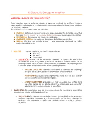 Esófago, Estómago e Intestino
+GENERALIDADES DEL TUBO DIGESTIVO
Tubo digestivo que se extiende desde el extremo proximal del esófago hasta el
extremo distal del conducto anal está compuesto por una serie de órganos tubulares
de diámetro variable.
Su pared está formada por 4 capas bien definidas:
MUCOSA: Epitelio de revestimiento, una capa subyacente de tejido conjuntivo
llamada lámina propia y la muscular de la mucosa compuesta por músculo liso.
SUBMUCOSA: Compuesta por tejido no moldeado.
MUSCULAR EXTERNA: Formada por dos capas de tejido muscular liso.
SEROSA: Consiste un epitelio simple y una pequeña cantidad de tejido
conjuntivo adyacente.
1. MUCOSA La mucosa tiene tres funciones principales
Absorción
Secreción
Protección
o ABSORCIÓN:permite que los alimentos digeridos, el agua y los electrolitos
alcancen los vasos sanguíneos y linfáticos. Se lleva a cabo a causa de las
prolongaciones de la mucosa y la submucosa hacia la luz del tubo digestivo.
Consisten en las especializaciones estructurales siguientes:
PLIEGUES CIRCULARES(válvulas conniventes o válvulas de kerckring):
pliegues de la submucosa con orientación circunferencial.
VELLOSIDADES: proyecciones digitiformes de la mucosa que cubren
toda la superficie del intestino delgado.
MICROVELLOSIDADES: proyecciones microscópicas muy juntas de la
superficie apical de las células absortivas intestinales que aumentan
adicionalmente la extensión de la superficie.
 GLUCOCÁLIZ:Glucoproteínas que se proyectan desde la membrana plasmática
apical de las células epiteliales absortivas.
o SECRECIÓN:la función secretora de la mucosa provee lubricación y entrega
enzimas digestivas, hormonas y anticuerpos a la luz del tubo digestivo. Es
realizada principalmente por glándulas distribuidas a todo lo largo del tubo
digestivo.
 