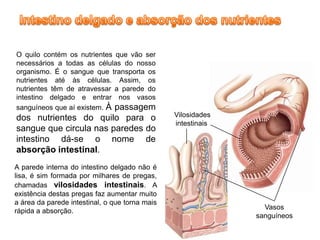O quilo contém os nutrientes que vão ser
necessários a todas as células do nosso
organismo. É o sangue que transporta os
nutrientes até às células. Assim, os
nutrientes têm de atravessar a parede do
intestino delgado e entrar nos vasos
sanguíneos que aí existem. À passagem
dos nutrientes do quilo para o                  Vilosidades
                                                intestinais
sangue que circula nas paredes do
intestino dá-se o nome de
absorção intestinal.
A parede interna do intestino delgado não é
lisa, é sim formada por milhares de pregas,
chamadas vilosidades intestinais. A
existência destas pregas faz aumentar muito
a área da parede intestinal, o que torna mais
                                                                Vasos
rápida a absorção.
                                                              sanguíneos
 