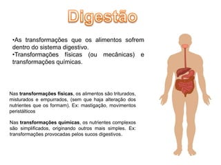 •As transformações que os alimentos sofrem
 dentro do sistema digestivo.
 •Transformações físicas (ou mecânicas) e
 transformações químicas.




Nas transformações físicas, os alimentos são triturados,
misturados e empurrados, (sem que haja alteração dos
nutrientes que os formam). Ex: mastigação, movimentos
peristálticos

Nas transformações químicas, os nutrientes complexos
são simplificados, originando outros mais simples. Ex:
transformações provocadas pelos sucos digestivos.
 