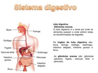tubo digestivo
                                   Glândulas anexas.
      Boca                        O tubo digestivo é o canal por onde os
                  Faringe         alimentos passam e onde sofrem todas
                                  as transformações da digestão.

  Esófago
                                  Os órgãos do tubo digestivo são:
                                  boca, faringe, esófago, estômago,
   Fígado                         intestino delgado, intestino grosso e
                                  ânus.
Vesícula biliar       Estômago
                                  As glândulas anexas são: glândulas
   Intestino         Pâncreas
                                  salivares, fígado, vesícula biliar e
    grosso
                                  pâncreas.
                      Intestino
                      delgado
       Ânus
 