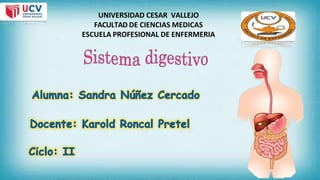 UNIVERSIDAD CESAR VALLEJO
FACULTAD DE CIENCIAS MEDICAS
ESCUELA PROFESIONAL DE ENFERMERIA
 