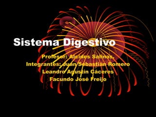 Sistema Digestivo
       Profesor: Alcides Salinas.
  Integrantes: Juan Sebastián Romero
       Leandro Agustín Cáceres
          Facundo José Freijo
 