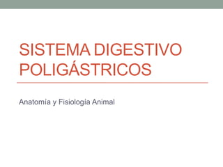Sistema Digestivo Poligástricos Anatomía y Fisiología Animal 