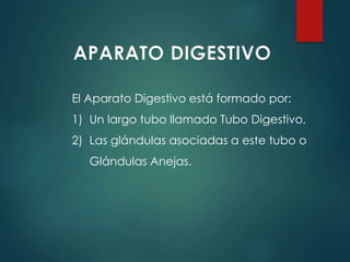 El Aparato Digestivo está formado por:
1) Un largo tubo llamado Tubo Digestivo,
2) Las glándulas asociadas a este tubo o
Glándulas Anejas.
APARATO DIGESTIVO
 