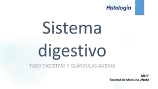 Sistema
digestivo
TUBO DIGESTIVO Y GLÁNDULAS ANEXAS
Histología
MEPF
Facultad de Medicina UNAM
 