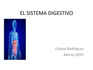 EL SISTEMA DIGESTIVO
Liliana Rodríguez
Marzo 2015
 