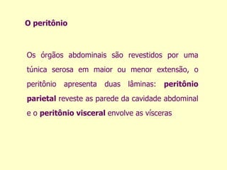 O peritônio Os órgãos abdominais são revestidos por uma túnica serosa em maior ou menor extensão, o peritônio apresenta duas lâminas:  peritônio parietal  reveste as parede da cavidade abdominal e o  peritônio visceral  envolve as vísceras 