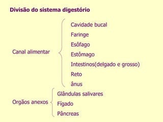 Divisão do sistema digestório Canal alimentar  Orgãos anexos Cavidade bucal Faringe Esôfago Estômago Intestinos(delgado e grosso) Reto ânus Glândulas salivares Fígado Pâncreas 