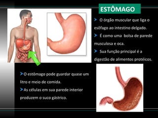 ESTÔMAGO
                                         O órgão muscular que liga o
                                      esôfago ao intestino delgado.
                                         É como uma bolsa de parede
                                      musculosa e oca.
                                         Sua função principal é a
                                      digestão de alimentos protéicos.


  O estômago pode guardar quase um
litro e meio de comida.
  As células em sua parede interior
produzem o suco gástrico.
 