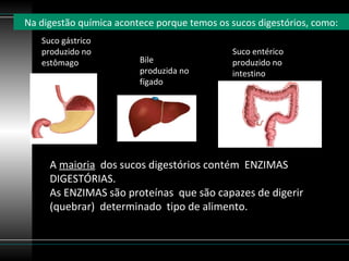 Na digestão química acontece porque temos os sucos digestórios, como:
   Suco gástrico
   produzido no                              Suco entérico
   estômago              Bile                produzido no
                         produzida no        intestino
                         fígado




     A maioria dos sucos digestórios contém ENZIMAS
     DIGESTÓRIAS.
     As ENZIMAS são proteínas que são capazes de digerir
     (quebrar) determinado tipo de alimento.
 