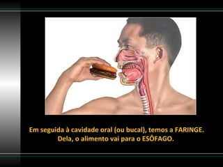 Em seguida à cavidade oral (ou bucal), temos a FARINGE.
        Dela, o alimento vai para o ESÔFAGO.
 