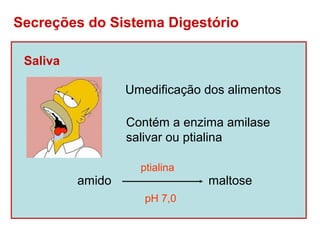 Secreções do Sistema Digestório

 Saliva

                  Umedificação dos alimentos

                  Contém a enzima amilase
                  salivar ou ptialina

                    ptialina
          amido                maltose
                     pH 7,0
 