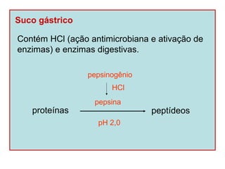 Suco gástrico

Contém HCl (ação antimicrobiana e ativação de
enzimas) e enzimas digestivas.

                 pepsinogênio
                       HCl
                  pepsina
   proteínas                    peptídeos
                   pH 2,0
 