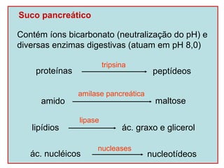 Suco pancreático

Contém íons bicarbonato (neutralização do pH) e
diversas enzimas digestivas (atuam em pH 8,0)

                         tripsina
    proteínas                          peptídeos

                amilase pancreática
     amido                              maltose

                lipase
   lipídios                    ác. graxo e glicerol

                     nucleases
   ác. nucléicos                      nucleotídeos
 