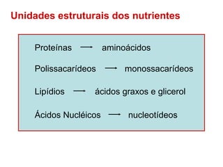 Unidades estruturais dos nutrientes


    Proteínas          aminoácidos

    Polissacarídeos         monossacarídeos

    Lipídios      ácidos graxos e glicerol

    Ácidos Nucléicos        nucleotídeos
 