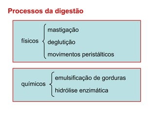 Processos da digestão

              mastigação
   físicos    deglutição

              movimentos peristálticos


                emulsificação de gorduras
   químicos
                hidrólise enzimática
 
