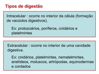 Tipos de digestão

Intracelular : ocorre no interior da célula (formação
de vacúolos digestivos).

   Ex: protozoários, poríferos, cnidários e
   platelmintes


 Extracelular : ocorre no interior de uma cavidade
 digestiva.
   Ex: cnidários, platelmintes, nematelmintes,
   anelídeos, moluscos, artrópodas, equinodermas
   e cordados
 