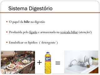  O papel da bile na digestão
 Produzida pelo fígado e armazenada na vesícula biliar (atenção!)
 Emulsificar os lipídios (´detergente´)
Sistema Digestório
+ =
 
