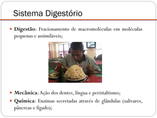  Digestão: Fracionamento de macromoléculas em moléculas
pequenas e assimiláveis;
 Mecânica:Ação dos dentes, língua e peristaltismo;
 Química: Enzimas secretadas através de glândulas (salivares,
pâncreas e fígado);
Sistema Digestório
 