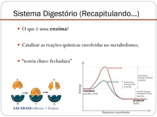  O que é uma enzima?
 Catalisar as reações químicas envolvidas no metabolismo;
 “teoria chave-fechadura”
Sistema Digestório (Recapitulando...)
SACARASE: Glicose + Frutose
 