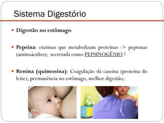  Digestão no estômago
 Pepsina: enzimas que metabolizam proteínas -> peptonas
(aminoácidos); secretada como PEPSINOGÊNIO !
 Renina (quimosina): Coagulação da caseína (proteína do
leite), permanência no estômago, melhor digestão;
Sistema Digestório
 
