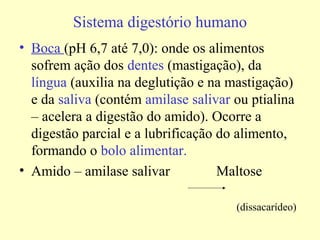 Sistema digestório humano
• Boca (pH 6,7 até 7,0): onde os alimentos
sofrem ação dos dentes (mastigação), da
língua (auxilia na deglutição e na mastigação)
e da saliva (contém amilase salivar ou ptialina
– acelera a digestão do amido). Ocorre a
digestão parcial e a lubrificação do alimento,
formando o bolo alimentar.
• Amido – amilase salivar Maltose
(dissacarídeo)
 