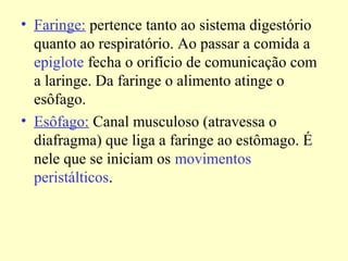 • Faringe: pertence tanto ao sistema digestório
quanto ao respiratório. Ao passar a comida a
epiglote fecha o orifício de comunicação com
a laringe. Da faringe o alimento atinge o
esôfago.
• Esôfago: Canal musculoso (atravessa o
diafragma) que liga a faringe ao estômago. É
nele que se iniciam os movimentos
peristálticos.
 