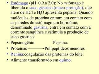 • Estômago (pH 0,9 a 2,0): No estômago é
liberado o suco gástrico (muco-proteção), que
além de HCl e H2O apresenta pepsina. Quando
moléculas de proteína entram em contato com
as paredes do estômago um hormônio,
denominado gastrina, entra em contato com a
corrente sangüínea e estimula a produção de
suco gástrico.
• Pepsinogênio Pepsina.
• Proteínas Polipeptídeos menores
• Renina:coagulação das proteínas do leite.
• Alimento transformado em quimo.
 