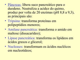 • Pâncreas: libera suco pancreático para o
duodeno. Neutraliza a acidez do quimo,
produz por volta de 20 enzimas (pH 8,8 a 9,3),
as principais são:
• Tripsina: transforma proteínas em
polipeptídios menores;
• Amilase pancreática: transforma o amido em
maltose (dissacarídeo);
• Lipase pancreática: transforma os lipídeos em
ácidos graxos e glicerol;
• Nucleases: transformam os ácidos nucléicos
em nucleotídeos;
 
