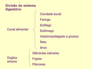 Divisão do sistema
digestório
Canal alimentar
Orgãos
anexos
Cavidade bucal
Faringe
Esôfago
Estômago
Intestinos(delgado e grosso)
Reto
ânus
Glândulas salivares
Fígado
Pâncreas
 