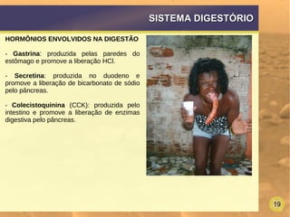 19
SISTEMA DIGESTÓRIOSISTEMA DIGESTÓRIO
HORMÔNIOS ENVOLVIDOS NA DIGESTÃO
- Gastrina: produzida pelas paredes do
estômago e promove a liberação HCl.
- Secretina: produzida no duodeno e
promove a liberação de bicarbonato de sódio
pelo pâncreas.
- Colecistoquinina (CCK): produzida pelo
intestino e promove a liberação de enzimas
digestiva pelo pâncreas.
 