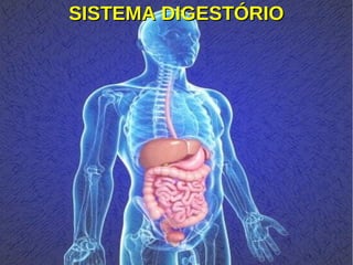 SISTEMA DIGESTÓRIOSISTEMA DIGESTÓRIO
 