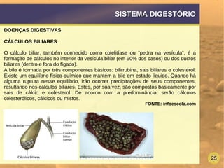 25
SISTEMA DIGESTÓRIOSISTEMA DIGESTÓRIO
DOENÇAS DIGESTIVAS
CÁLCULOS BILIARES
O cálculo biliar, também conhecido como colelitíase ou “pedra na vesícula”, é a
formação de cálculos no interior da vesícula biliar (em 90% dos casos) ou dos ductos
biliares (dentro e fora do fígado).
A bile é formada por três componentes básicos: bilirrubina, sais biliares e colesterol.
Existe um equilíbrio físico-químico que mantém a bile em estado líquido. Quando há
alguma ruptura nesse equilíbrio, irão ocorrer precipitações de seus componentes,
resultando nos cálculos biliares. Estes, por sua vez, são compostos basicamente por
sais de cálcio e colesterol. De acordo com a predominância, serão cálculos
colesterólicos, cálcicos ou mistos.
FONTE: infoescola.com
 