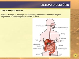 4
SISTEMA DIGESTÓRIOSISTEMA DIGESTÓRIO
TRAJETO DO ALIMENTO
Boca → Faringe → Esôfago → Estômago → Duodeno → Intestino delgado
(jejunoíleo) → Intestino grosso → Reto → Ânus.
 