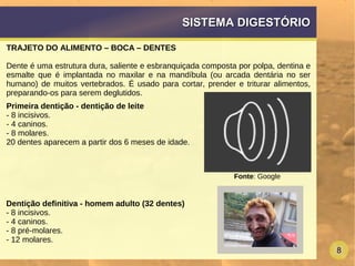 8
SISTEMA DIGESTÓRIOSISTEMA DIGESTÓRIO
TRAJETO DO ALIMENTO – BOCA – DENTES
Dente é uma estrutura dura, saliente e esbranquiçada composta por polpa, dentina e
esmalte que é implantada no maxilar e na mandíbula (ou arcada dentária no ser
humano) de muitos vertebrados. É usado para cortar, prender e triturar alimentos,
preparando-os para serem deglutidos.
Primeira dentição - dentição de leite
- 8 incisivos.
- 4 caninos.
- 8 molares.
20 dentes aparecem a partir dos 6 meses de idade.
Dentição definitiva - homem adulto (32 dentes)
- 8 incisivos.
- 4 caninos.
- 8 pré-molares.
- 12 molares.
Fonte: Google
 