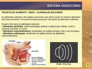 9
SISTEMA DIGESTÓRIOSISTEMA DIGESTÓRIO
TRAJETO DO ALIMENTO – BOCA – GLÂNDULAS SALIVARES
As glândulas salivares são órgãos acessórios que fazem parte do sistema digestório
dos seres humanos. Os seres humanos possuem três pares de glândulas salivares.
Existem três tipos de glândulas salivares:
- Glândulas parótidas: estão localizadas adiante e abaixo das orelhas, entre o
músculo masseter e a cútis.
- Glândulas submandibulares: localizadas no soalho da boca, sob a raiz da língua.
- Glândulas sublinguais: localizada na região anterior ás glândulas
submandibulares.
Fonte: WhatsApp
 