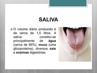SALIVA
 O volume diário produzido é
de cerca de 1,5 litros. A
saliva constitui-se
principalmente de água
(cerca de 95%), muco (uma
glicoproteína), diversos sais
e enzimas digestórias.
 