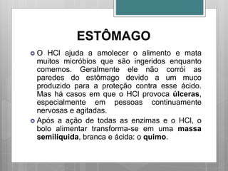 ESTÔMAGO
 O HCl ajuda a amolecer o alimento e mata
muitos micróbios que são ingeridos enquanto
comemos. Geralmente ele não corrói as
paredes do estômago devido a um muco
produzido para a proteção contra esse ácido.
Mas há casos em que o HCl provoca úlceras,
especialmente em pessoas continuamente
nervosas e agitadas.
 Após a ação de todas as enzimas e o HCl, o
bolo alimentar transforma-se em uma massa
semilíquida, branca e ácida: o quimo.
 