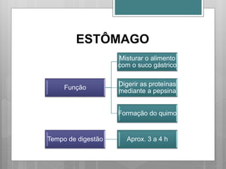 ESTÔMAGO
Função
Misturar o alimento
com o suco gástrico
Digerir as proteínas
mediante a pepsina
Formação do quimo
Tempo de digestão Aprox. 3 a 4 h
 