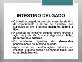 INTESTINO DELGADO
 O intestino delgado é um tubo muscular de 6 m
de comprimento e 3 cm de diâmetro, que
subdivide-se em 3 partes: duodeno, jejuno e
íleo.
 A digestão no intestino delgado ocorre graças à
ação conjunta de 3 sucos digestórios: biliar,
pancreático e entérico.
 Os nutrientes digeridos são absorvidos
principalmente no intestino delgado.
 Após todas as transformações químicas no
intestino, o quimo passa a se chamar quilo, uma
substância branca.
 